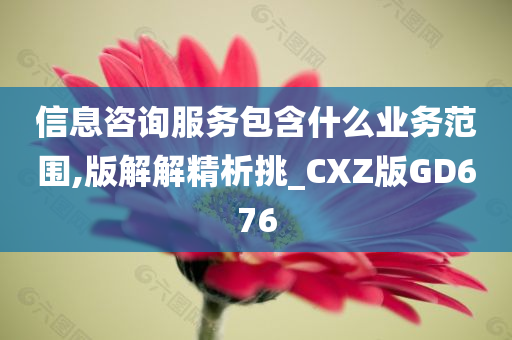 信息咨询服务包含什么业务范围,版解解精析挑_CXZ版GD676