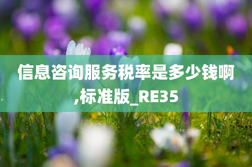 信息咨询服务税率是多少钱啊,标准版_RE35