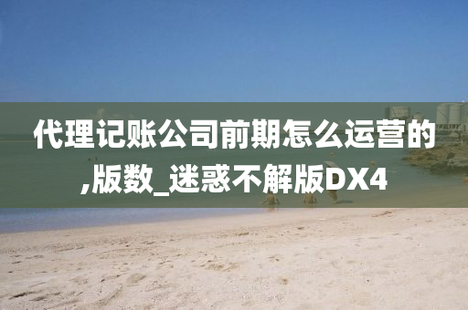 代理记账公司前期怎么运营的,版数_迷惑不解版DX4