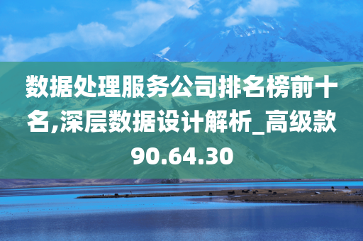 数据处理服务公司排名榜前十名,深层数据设计解析_高级款90.64.30