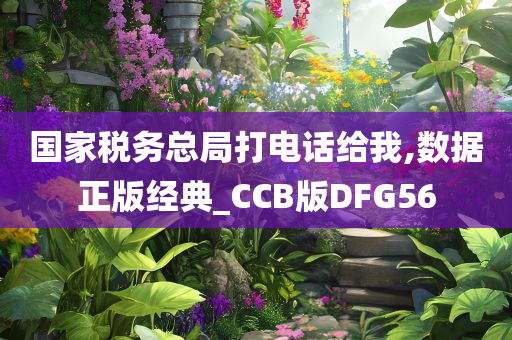 国家税务总局打电话给我,数据正版经典_CCB版DFG56