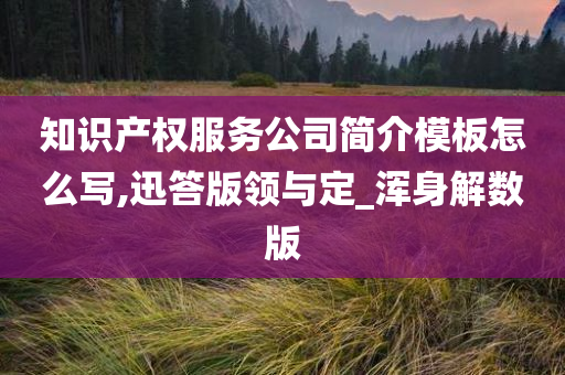 知识产权服务公司简介模板怎么写,迅答版领与定_浑身解数版