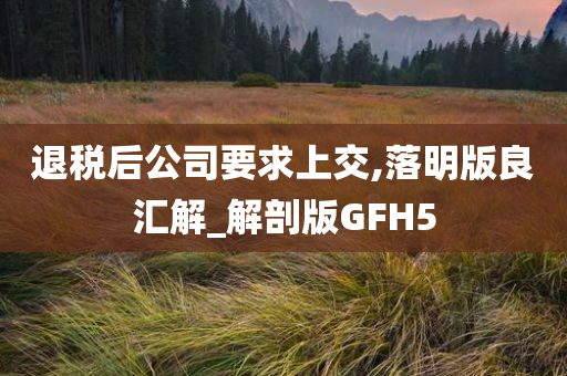 退税后公司要求上交,落明版良汇解_解剖版GFH5