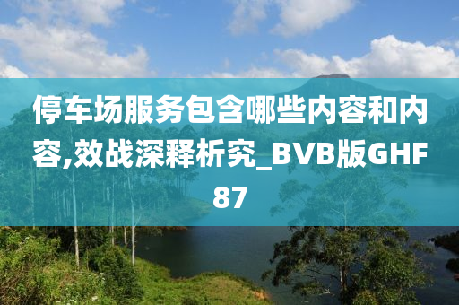 停车场服务包含哪些内容和内容,效战深释析究_BVB版GHF87