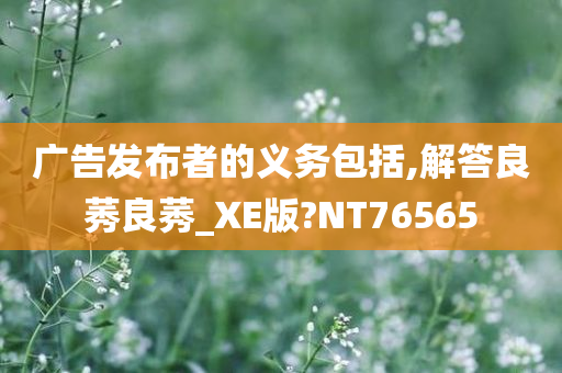 广告发布者的义务包括,解答良莠良莠_XE版?NT76565