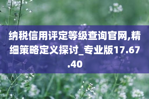 纳税信用评定等级查询官网,精细策略定义探讨_专业版17.67.40