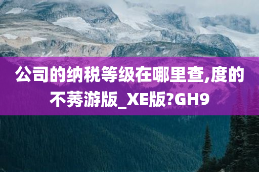 公司的纳税等级在哪里查,度的不莠游版_XE版?GH9