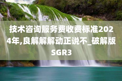 技术咨询服务费收费标准2024年,良解解解动正说不_破解版SGR3