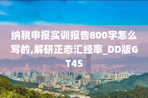 纳税申报实训报告800字怎么写的,解研正态汇经率_DD版GT45