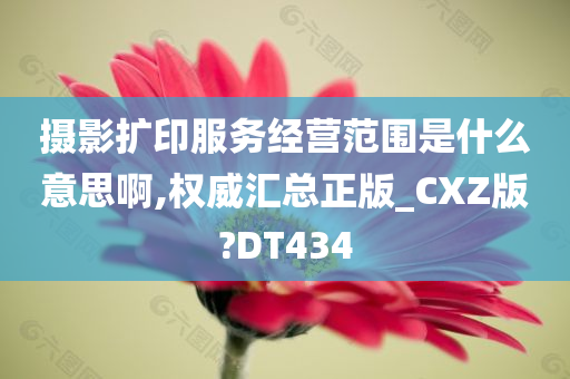 摄影扩印服务经营范围是什么意思啊,权威汇总正版_CXZ版?DT434