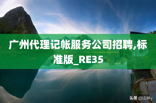 广州代理记帐服务公司招聘,标准版_RE35