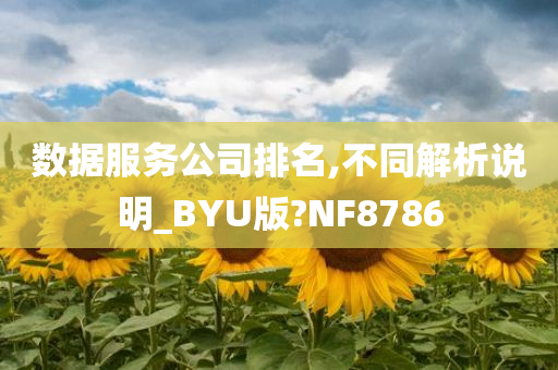 数据服务公司排名,不同解析说明_BYU版?NF8786