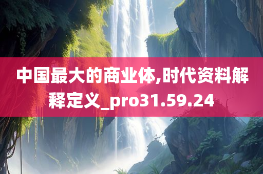 中国最大的商业体,时代资料解释定义_pro31.59.24