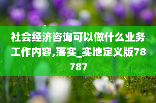 社会经济咨询可以做什么业务工作内容,落实_实地定义版78787