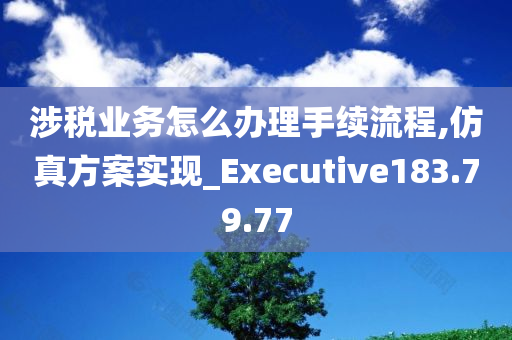 涉税业务怎么办理手续流程,仿真方案实现_Executive183.79.77