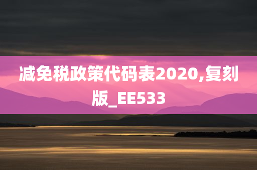 减免税政策代码表2020,复刻版_EE533