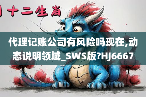 代理记账公司有风险吗现在,动态说明领域_SWS版?HJ6667