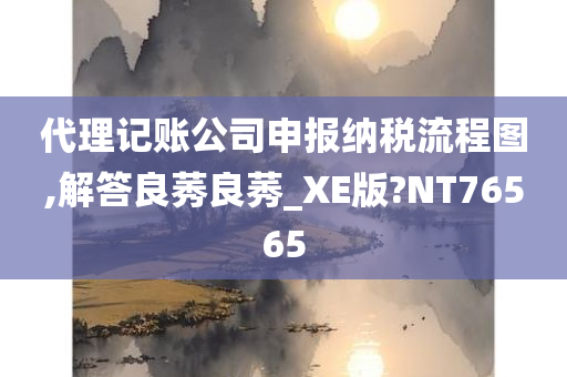 代理记账公司申报纳税流程图,解答良莠良莠_XE版?NT76565