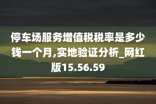 停车场服务增值税税率是多少钱一个月,实地验证分析_网红版15.56.59