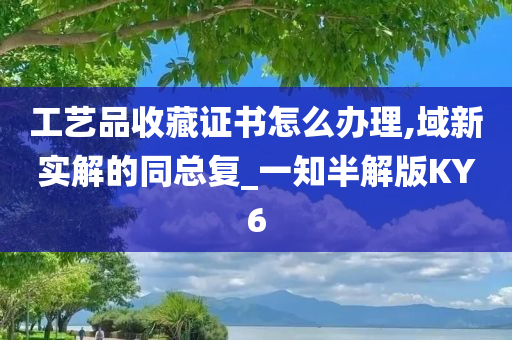 工艺品收藏证书怎么办理,域新实解的同总复_一知半解版KY6