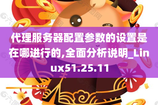 代理服务器配置参数的设置是在哪进行的,全面分析说明_Linux51.25.11