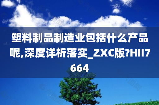 塑料制品制造业包括什么产品呢,深度详析落实_ZXC版?HII7664