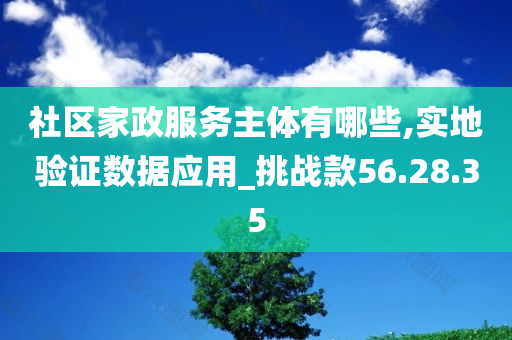 社区家政服务主体有哪些,实地验证数据应用_挑战款56.28.35