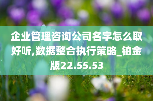 企业管理咨询公司名字怎么取好听,数据整合执行策略_铂金版22.55.53