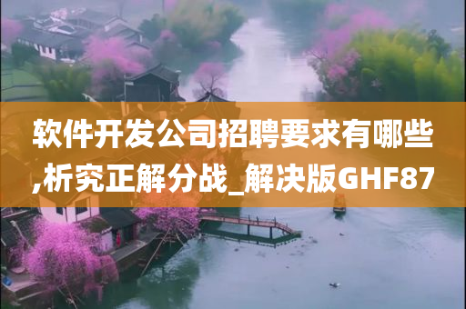 软件开发公司招聘要求有哪些,析究正解分战_解决版GHF87