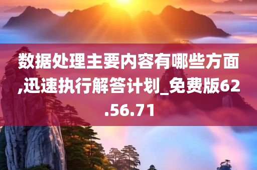 数据处理主要内容有哪些方面,迅速执行解答计划_免费版62.56.71