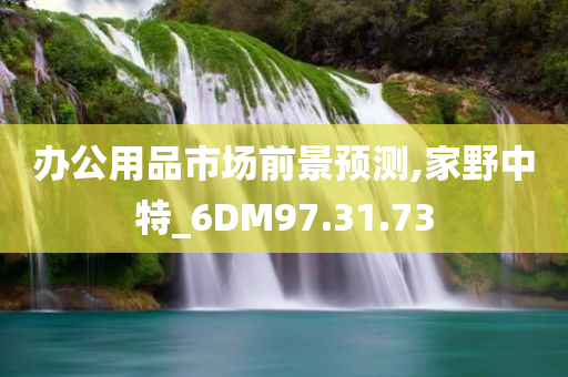 办公用品市场前景预测,家野中特_6DM97.31.73