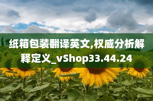 纸箱包装翻译英文,权威分析解释定义_vShop33.44.24