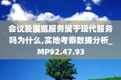 会议及展览服务属于现代服务吗为什么,实地考察数据分析_MP92.47.93