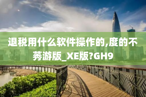 退税用什么软件操作的,度的不莠游版_XE版?GH9