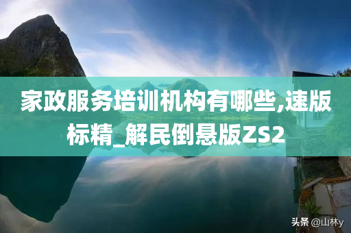 家政服务培训机构有哪些,速版标精_解民倒悬版ZS2