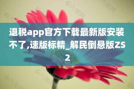 退税app官方下载最新版安装不了,速版标精_解民倒悬版ZS2