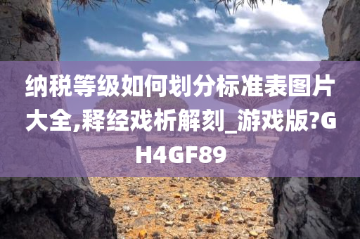 纳税等级如何划分标准表图片大全,释经戏析解刻_游戏版?GH4GF89