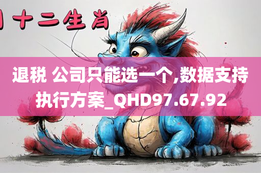 退税 公司只能选一个,数据支持执行方案_QHD97.67.92