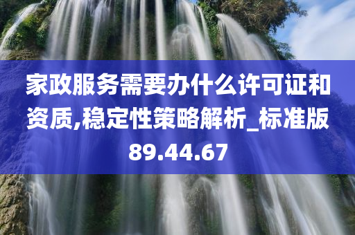 家政服务需要办什么许可证和资质,稳定性策略解析_标准版89.44.67