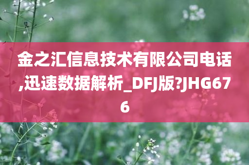 金之汇信息技术有限公司电话,迅速数据解析_DFJ版?JHG676