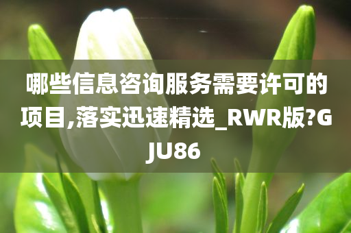 哪些信息咨询服务需要许可的项目,落实迅速精选_RWR版?GJU86