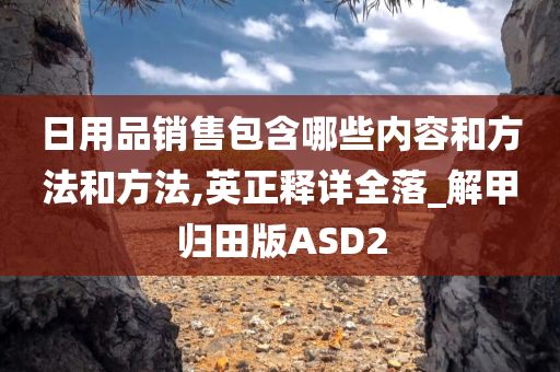 日用品销售包含哪些内容和方法和方法,英正释详全落_解甲归田版ASD2