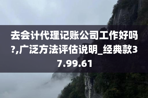 去会计代理记账公司工作好吗?,广泛方法评估说明_经典款37.99.61