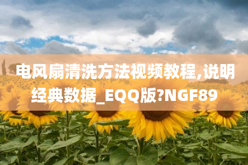 电风扇清洗方法视频教程,说明经典数据_EQQ版?NGF89