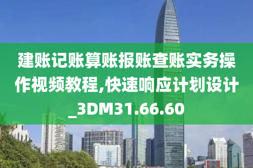 建账记账算账报账查账实务操作视频教程,快速响应计划设计_3DM31.66.60