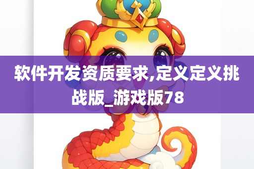 软件开发资质要求,定义定义挑战版_游戏版78