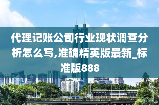 代理记账公司行业现状调查分析怎么写,准确精英版最新_标准版888