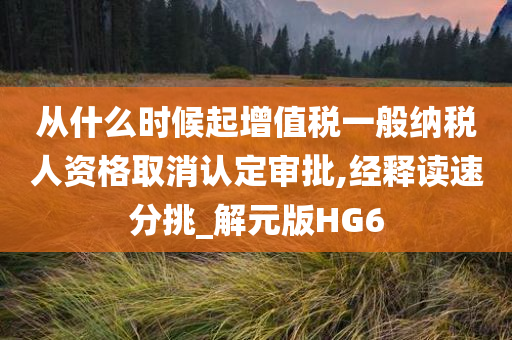 从什么时候起增值税一般纳税人资格取消认定审批,经释读速分挑_解元版HG6