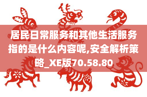 居民日常服务和其他生活服务指的是什么内容呢,安全解析策略_XE版70.58.80