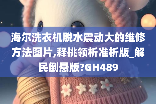 海尔洗衣机脱水震动大的维修方法图片,释挑领析准析版_解民倒悬版?GH489